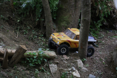 IMG-20240501-WA0021