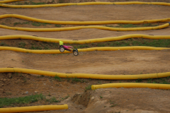 IMG-20240501-WA0037