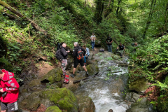 IMG-20240509-WA0015