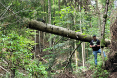 IMG-20240509-WA0049