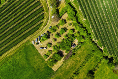 IMG-20240512-WA0049