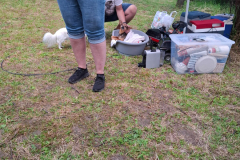 IMG-20240526-WA0051