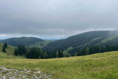 IMG-20240713-WA0031