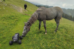 IMG-20240713-WA0034