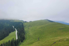IMG-20240713-WA0067