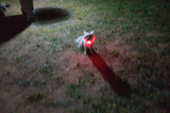 IMG-20240804-WA0021