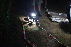 IMG-20240804-WA0028