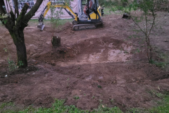 IMG-20240805-WA0115