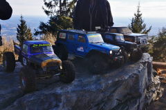 IMG-20250129-WA0009