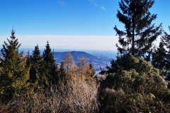 IMG-20250129-WA0013