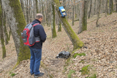 20250201_115749-Gross-Mittel