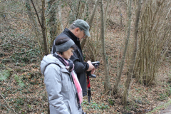 IMG_3959-Gross-Mittel
