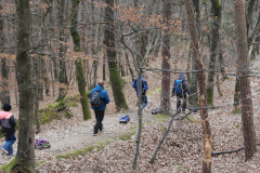 IMG_4130-Gross-Mittel