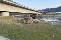 IMG-20250302-WA0062