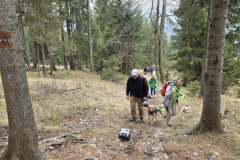 20250322_113654-Gross-Mittel