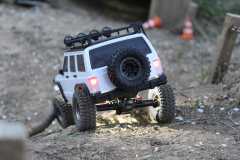 IMG_4452-Gross