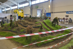 20250426_130432-Mittel