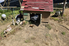 IMG-20250501-WA0046