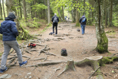 20250517_100938-Gross-Mittel