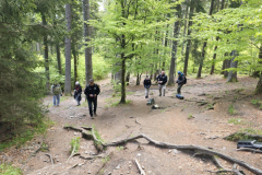 20250517_102357-Gross-Mittel