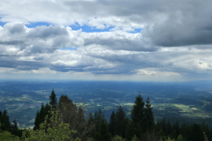20250517_124528-Gross
