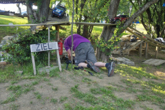 20250607_184923-Gross-Mittel