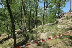 20250621_123857-Gross-Mittel