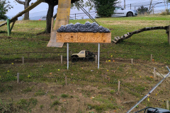 IMG-20250823-WA0149
