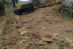 IMG-20250823-WA0335