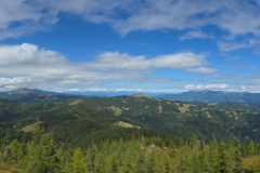 IMG-20250906-WA0038-Gross