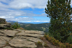 IMG-20250906-WA0049