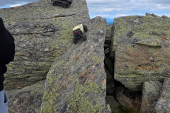 IMG-20250906-WA0053