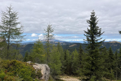 IMG-20250906-WA0098