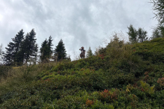 IMG-20250906-WA0099