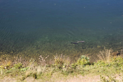 IMG-20250920-WA0029