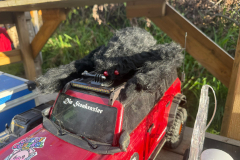 IMG-20251025-WA0163-Gross