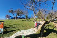 IMG-20251026-WA0018