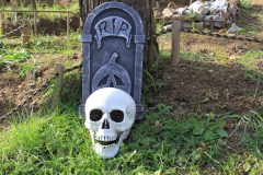 IMG_5063-Gross-Mittel