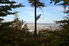 20251101_144459-Gross