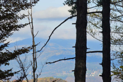 IMG-20251101-WA0042