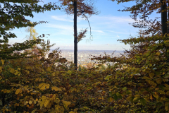 IMG-20251101-WA0058-Gross-Mittel