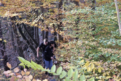 IMG-20251101-WA0060-Gross-Mittel