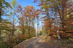 IMG-20251101-WA0064-Gross-Mittel