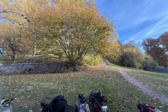 IMG-20251101-WA0100-Gross-Mittel