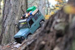 IMG_5212-Gross