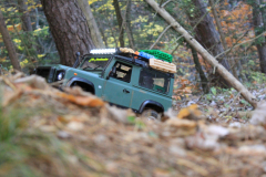 IMG_5220-Gross