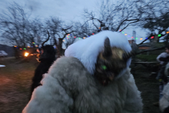 IMG-20251206-WA0074-Gross