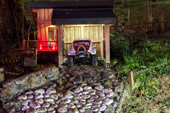 IMG-20251206-WA0232-Gross