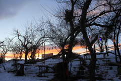 IMG_5326-Gross-Mittel