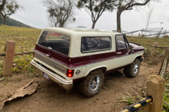 IMG-20260214-WA0247-Gross